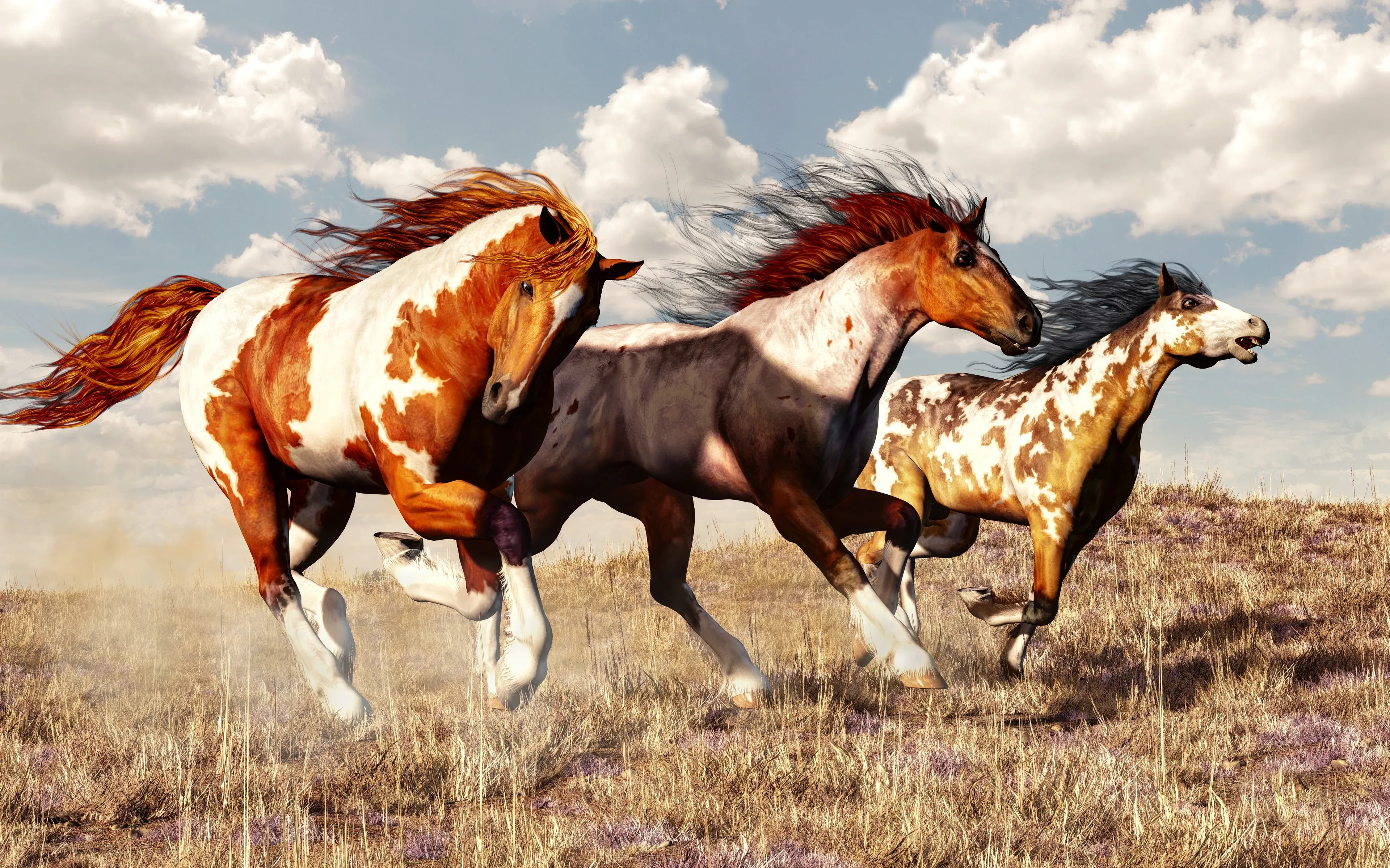 Three horses — a chestnut-and-white pinto, a buckskin, and a leopard-spotted Appaloosa — gallop across a dry grassy field under a cloudy blue sky.